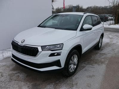 Skoda Karoq Selection 2.0 TDI DSG 4x4 (2026) - Foto 1