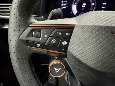 Cupra Formentor VZ 2.0 TSI 333 4X4 ATTELAGE/CAMERA360/ACC (2025) - Foto 12