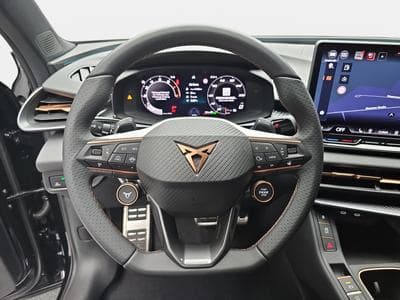 Cupra Terramar 2.0 TSI DSG 265 VZ 4Drive (2025) - Foto 12