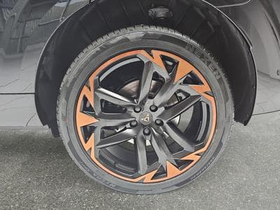 Cupra Terramar 2.0 TSI DSG 265 VZ 4Drive (2025) - Foto 6