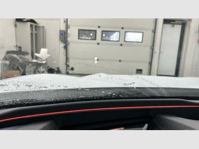 Cupra Terramar VZ 2.0 TSI 265cv 4x4 PANO/ATTELAGE/CAM360 (2025) - Foto 14