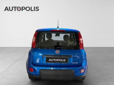 Fiat Panda 1.0 Easy (2024) - Photo 15