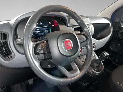 Fiat Panda 1.0 Easy (2024) - Foto 8