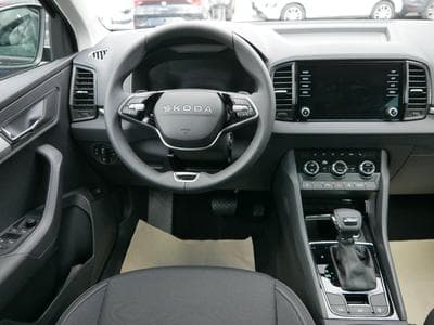 Skoda Karoq Jahre Edoniti (2025) - Photo 13