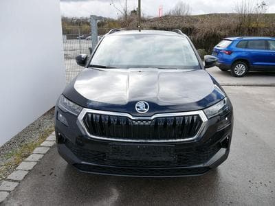 Skoda Karoq Jahre Edoniti (2025) - Photo 3