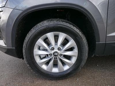 Skoda Karoq Jahre Edoniti (2025) - Photo 4