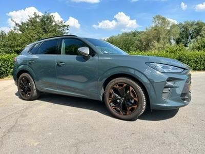 Cupra Terramar 1.5 eTSI - 360 - AHK - STHZ (2024) - Photo 1