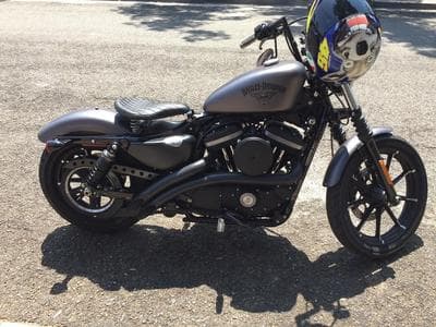 Harley-Davidson Sportster XL883N (2016) - Foto 1