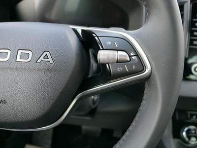 Skoda Karoq Jahre Edoniti (2025) - Photo 15