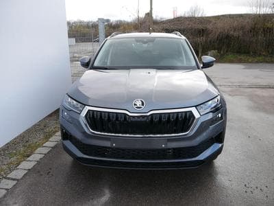 Skoda Karoq Jahre Edoniti (2025) - Photo 3