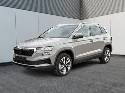 Skoda Karoq Selection (2025) - Photo 1
