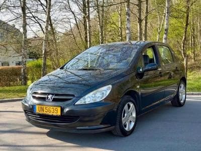 Peugeot 307 (2004) - Photo 1