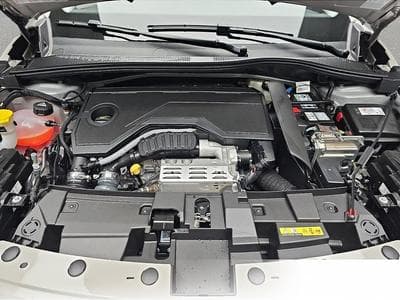 Fiat 600 (2026) - Photo 14