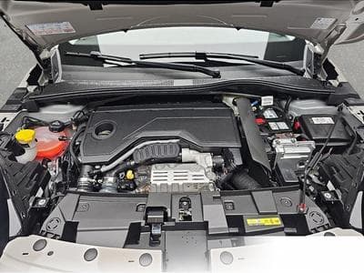 Fiat 600 (2026) - Photo 14