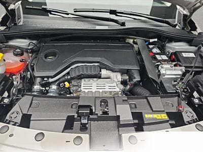 Fiat 600 (2026) - Photo 14