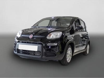 Fiat Panda (2024) - Photo 1