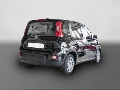 Fiat Panda (2024) - Photo 2