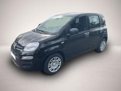Fiat Panda (2026) - Photo 1