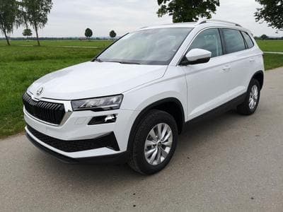 Skoda Karoq Selection (2026) - Photo 1