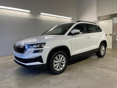 Skoda Karoq Selection (2026) - Photo 1