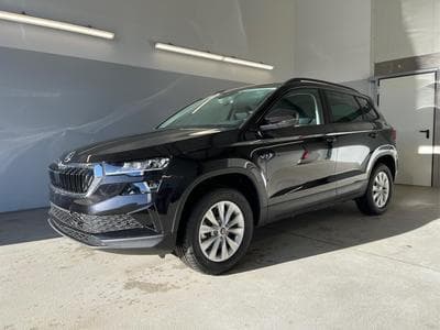 Skoda Karoq Selection (2026) - Photo 1
