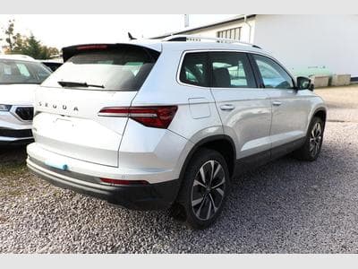 Skoda Karoq Selection (2025) - Photo 3