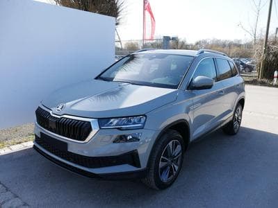 Skoda Karoq Selection (2025) - Photo 1
