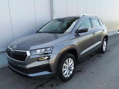 Skoda Karoq Selection (2026) - Photo 1