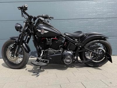 Harley-Davidson Cross Bones (2008) - Photo 1