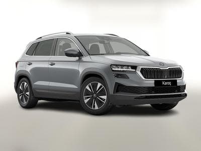 Skoda Karoq Selection (2026) - Photo 1