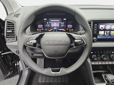 Skoda Karoq 1.5 TSi DSG 150 130 Anniversary (2026) - Photo 13