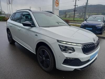 Skoda Kamiq Monte Carlo 1.5 (2024) - Photo 9