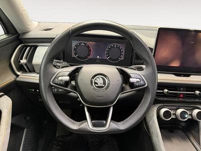 Skoda Kodiaq Selection 2.0 TDI 4X4 / Diesel (2024) - Photo 14