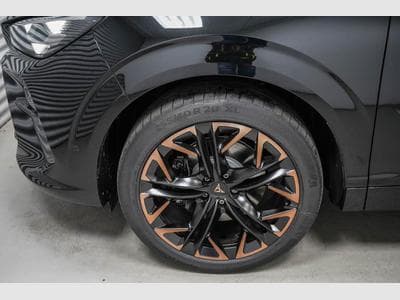 Cupra Terramar 2,0 TSI DSG (2025) - Photo 4