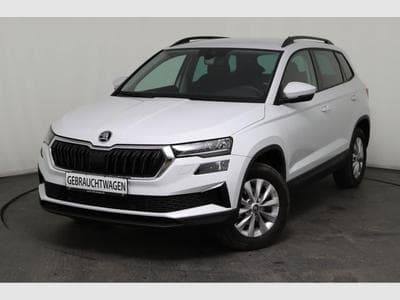 Skoda Karoq Selection (2025) - Photo 1
