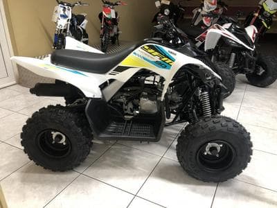 Yamaha YFM 90 (2026) - Photo 1