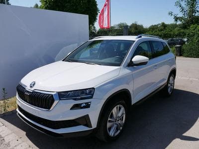 Skoda Karoq Selection (2025) - Photo 1