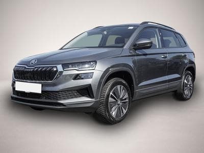 Skoda Karoq (2025) - Photo 1