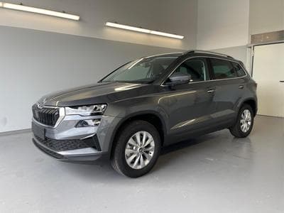Skoda Karoq Selection (2026) - Foto 1