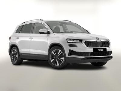 Skoda Karoq Selection (2026) - Foto 1
