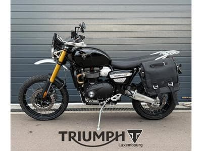 Triumph Scrambler SCRAMBLER 1200 XE (2026) - Foto 1