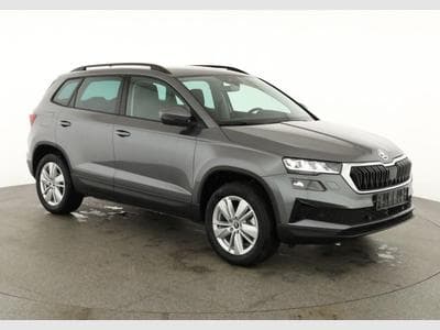 Skoda Karoq Selection (2026) - Photo 1