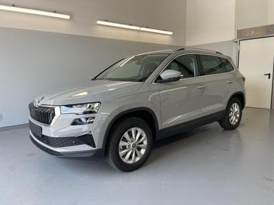 Skoda Karoq Selection (2026) - Photo 1