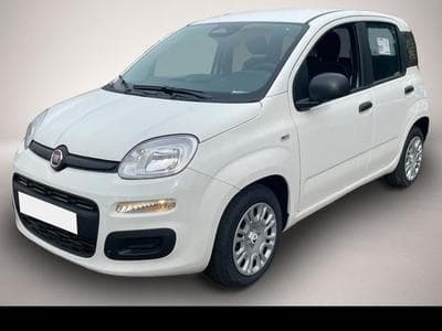 Fiat Panda (2026) - Foto 1