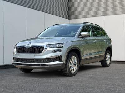 Skoda Karoq Selection (2026) - Photo 1