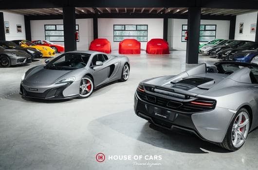 McLaren 650S SPIDER 1ST OWNER - 21% VAT DEDUCTIBLE (2015) - Foto 9