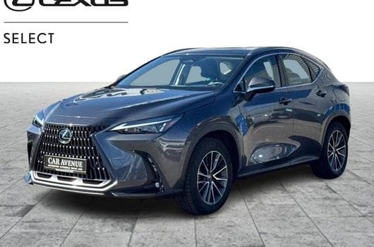Lexus NX Business Line (2024) - Photo 10