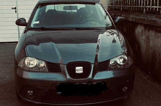 Seat Ibiza (2008) - Foto 9