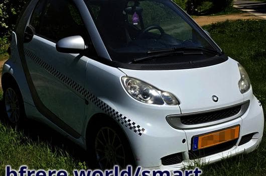 Smart Fortwo Série 452, var. 43RAF0, vers. QZAAA200 (2010) - Foto 9