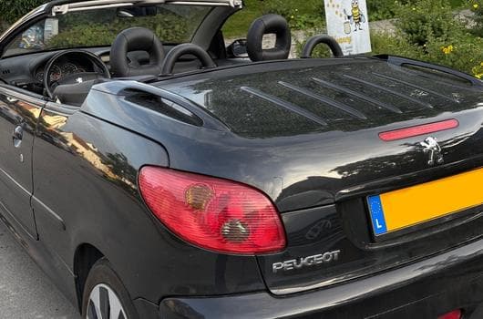 Peugeot 206+ (2003) - Photo 4